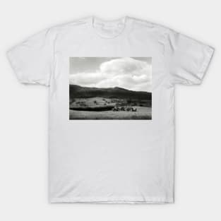 Collecting the bales - near Conwy, North Wales T-Shirt